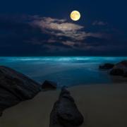 月夜流浪的原鄉