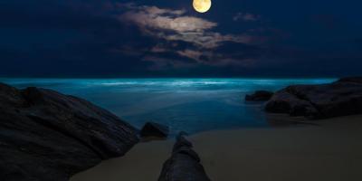 月夜流浪的原鄉