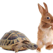 童話三首（外二首）