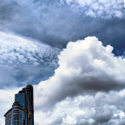 深切的人生感悟——讀江揚散文集《同一片天空下》