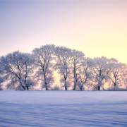 九秩畫展──反芻亭詩稿