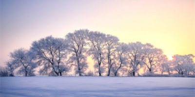 九秩畫展──反芻亭詩稿