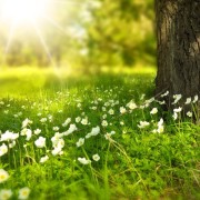 講文章、寫文章和判文章——對丁玲一席話的深思