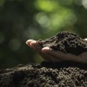 泥土（外二首）