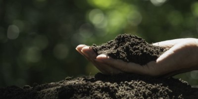 泥土（外二首）