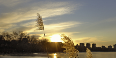 冬陽（外一首）