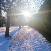 卷首語：你允許寒冷的另一種舞姿