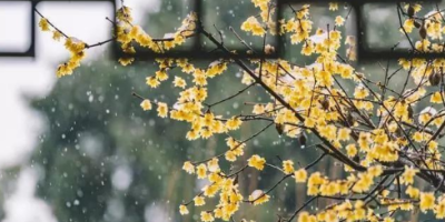 編後語：冬日幽情