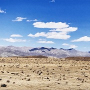 荒原紀事二十五