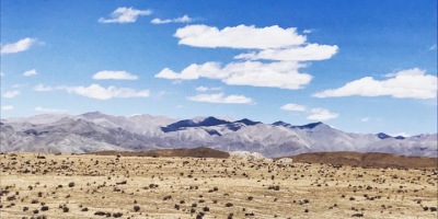 荒原紀事二十五