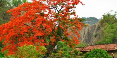 新春初一即興賀年詩