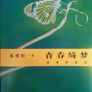 從感性到知性──評蔡曜陽新詩集《青春綺夢》