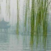 煙鎖池塘柳（外二首）