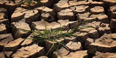 杞國人和英雄和胖孩子