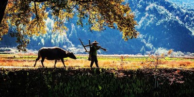 三十五個春天的耕耘