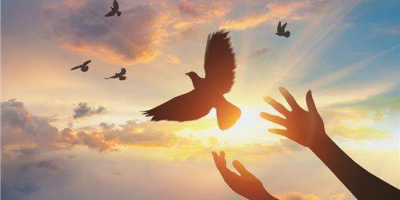 《香港作家》網絡版第二十期（2023年4月號）徵稿