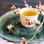 矛盾篇──冷暖人情三部曲之一