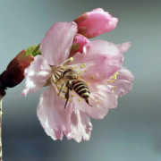 終極關懷，人類的生命與生態——無非是愛的歸宿