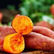 竹山紅番薯（外二首）