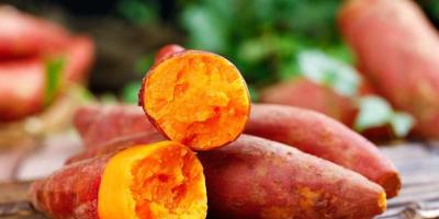 竹山紅番薯（外二首）