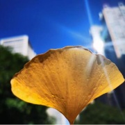 致已消遁的青春二首