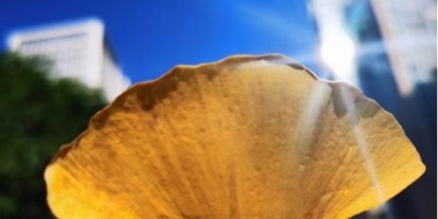 致已消遁的青春二首