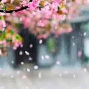 立春（外三首）