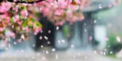 立春（外三首）