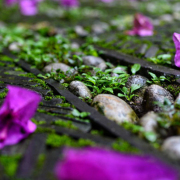 青春物語衍歌謠