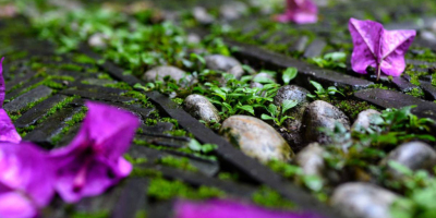 青春物語衍歌謠