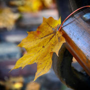 春漏、旅美偶題等