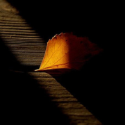 莫斯科沒有眼淚