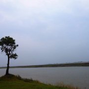 汩羅懷古、讀武俠小說有感