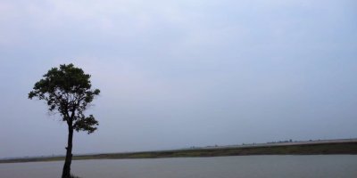 汩羅懷古、讀武俠小說有感