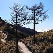 夢裏又見山丘的目光、生命是一面寫滿光陰隱語的鏡子