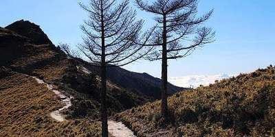 夢裏又見山丘的目光、生命是一面寫滿光陰隱語的鏡子