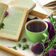 《香港作家》網絡版第二十二期（2023年8月號）徵稿