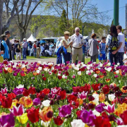 遐想，鮑勒爾的……