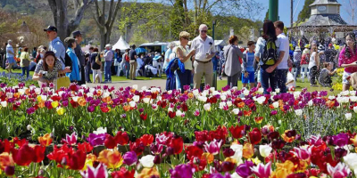 遐想，鮑勒爾的……