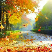 一片落葉的叮嚀——讀《安徒生童話》有感（外一首）