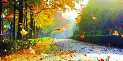 一片落葉的叮嚀——讀《安徒生童話》有感（外一首）