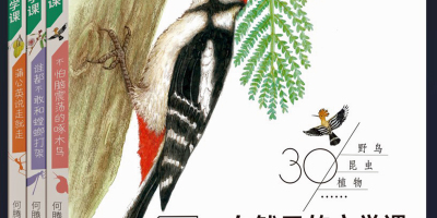 童心觀察  童趣表達——讀何騰江科普散文集《自然裏的文學課》