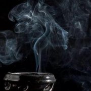 閒情雜詠十九首