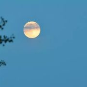 八月十六（外二首）