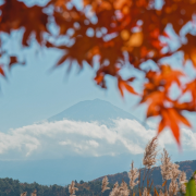 卷首語：風起時，與昨日的晴朗一樣刻劃深秋