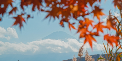 卷首語：風起時，與昨日的晴朗一樣刻劃深秋