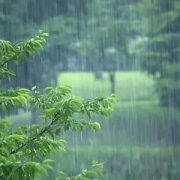 那個來自楚地的女人