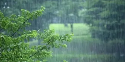 那個來自楚地的女人