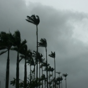 攜手風起的日子（外一首）