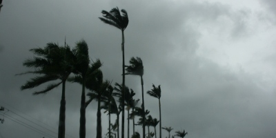 攜手風起的日子（外一首）